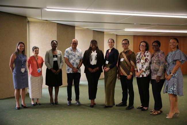 Bureau  - OEWG15 - 26 Jun2026
