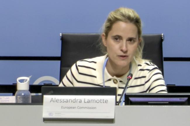 Alessandra Lamotte, European Commission