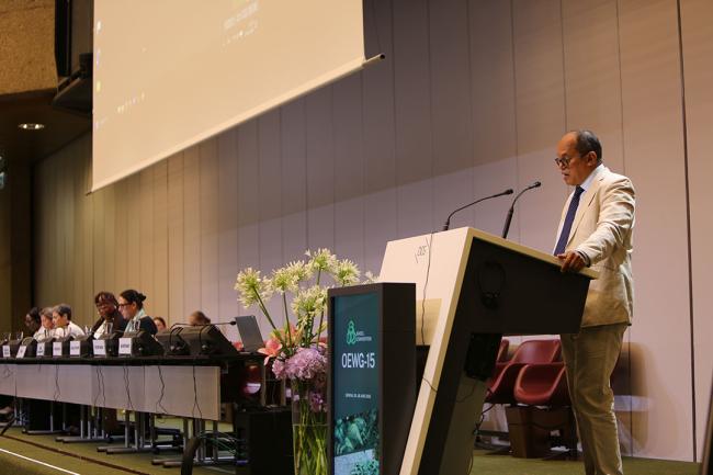 Basel, Rotterdam, and Stockholm (BRS) Conventions Executive Secretary Rolph Payet