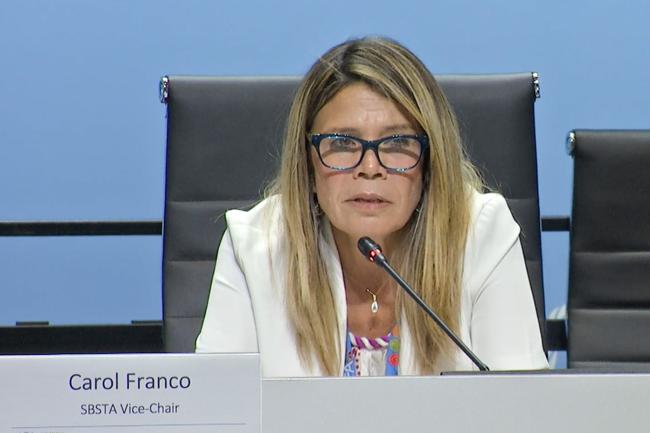 Carol Franco, SBSTA Vice-Chair