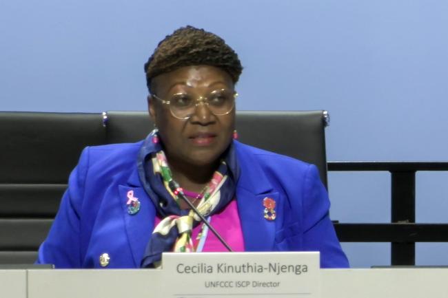 Cecilia Kinuthia-Njenga, UNFCCC ISCP Director
