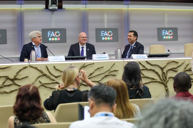 A view of the panel during the opening session. 