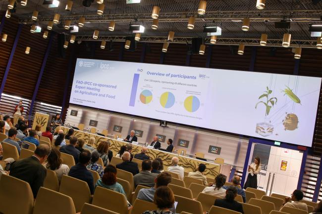 A view of the room during the opening session