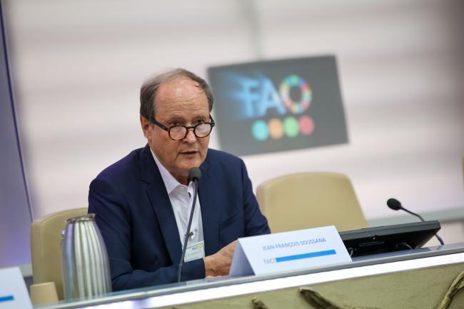 Jean-François Soussana, Emeritus Research Director, French National Research Institute for Agriculture, Food and the Environment (INRAE)
