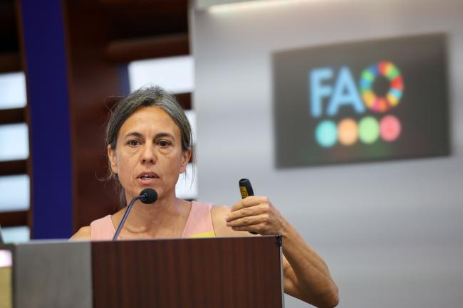 Marta Guadalupe Rivera Ferre, Spanish National Research Council (CSIC) 