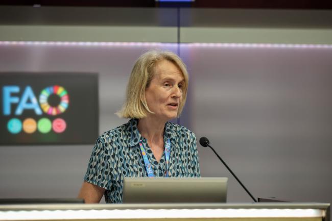 Eleanor Milne, Affiliate Scientist, Colorado State University, and Consultant Climate Change Mitigation Specialist, FAO 