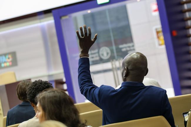 A participant asks for the floor 
