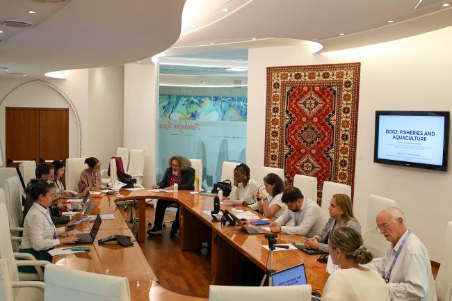 A view of the room during the breakout session on fisheries and aquaculture 