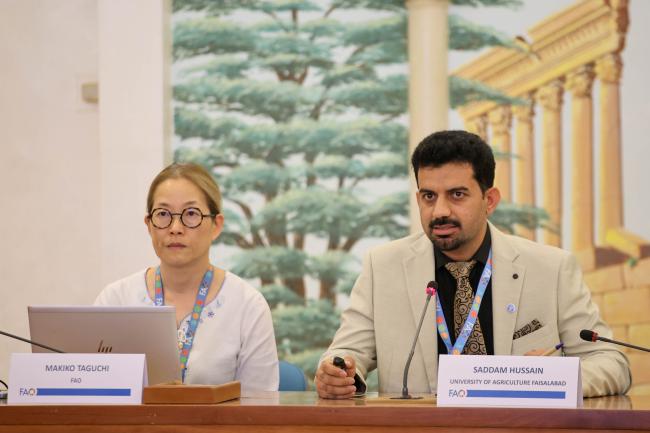 Makiko Taguchi, Agricultural Officer, FAO, and Saddam Hussain, Associate Professor, University of Agriculture Faisalabad and Chair of the breakout session on crops and horticulture systems - FAO-IPCC - 2Jun2026 - Photo