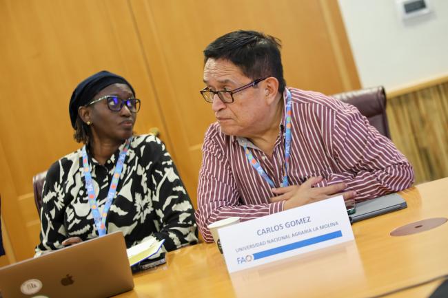 Carlos Alfredo Gomez Bravo, Professor, Universidad Nacional Agraria La Molina and Chair of the breakout session on livestock and pastoral systems 