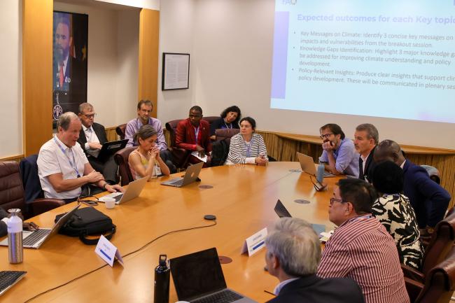 A view of the room during the breakout session on livestock and pastoral systems 