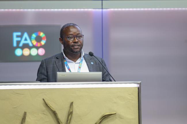 Aimable Uwuziye, Livestock Policy Officer, FAO, reports back to plenary from the breakout session on livestock and pastoral systems 
