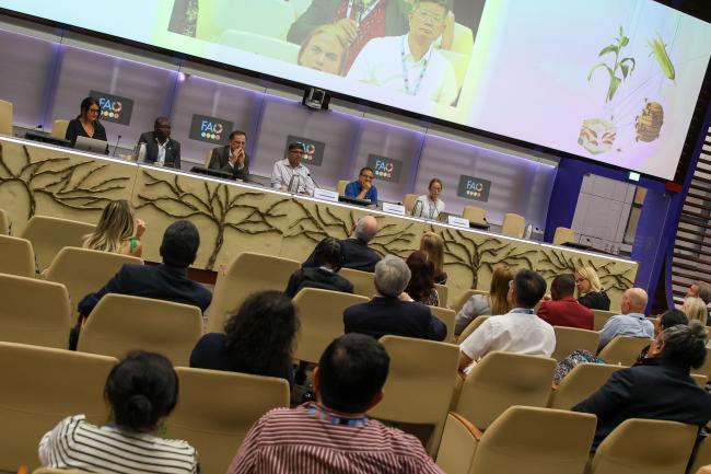 A view of the room during the plenary session