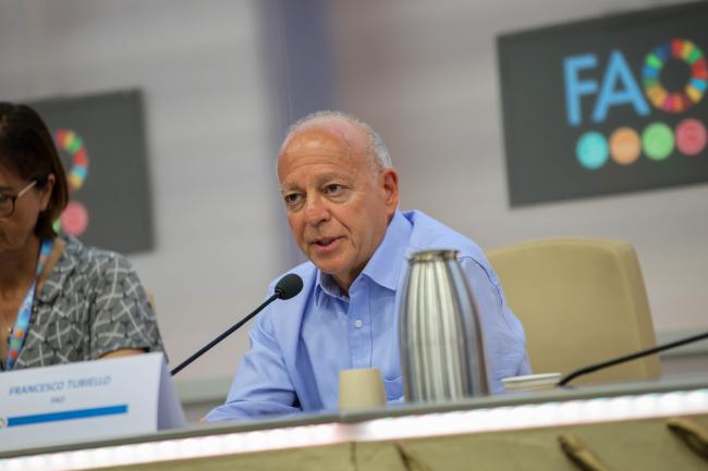 Francesco Tubiello, Senior Statistician, FAO