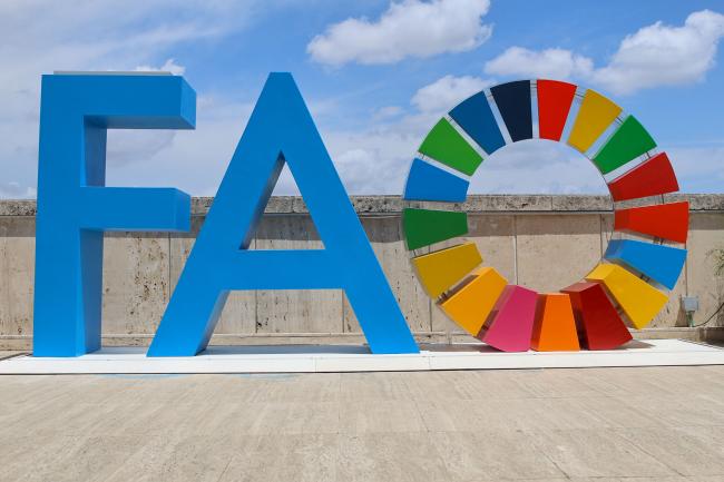 FAO sign