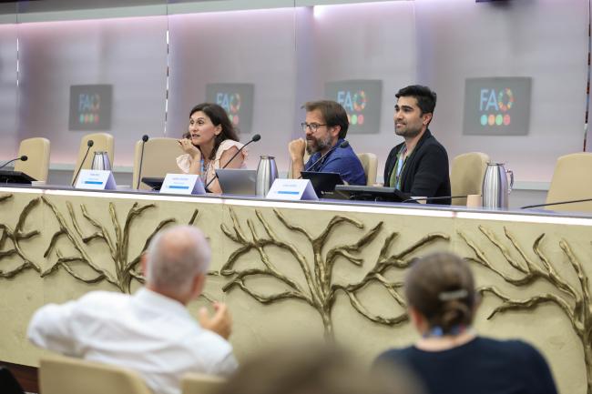 A view of the panel during session 5 