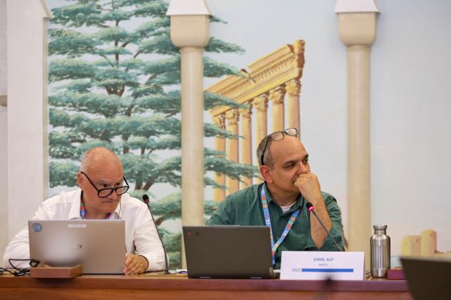 Sandro Federici, Head of Science, Technical Support Unit, IPCC Task Force on National GHG Inventories, and Emre Alp, Associate Professor, Middle East Technical University, and Co-Chair of the breakout session onStrategic priorities and planning for mitigation and adaptation actions 