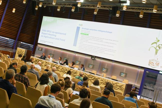 A view of the room during the report back from the breakout sessions 
