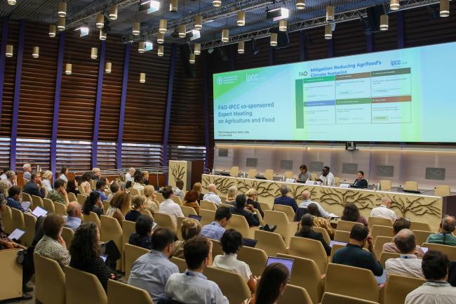 A view of the room during Session 4 on mitigation and adaptation 