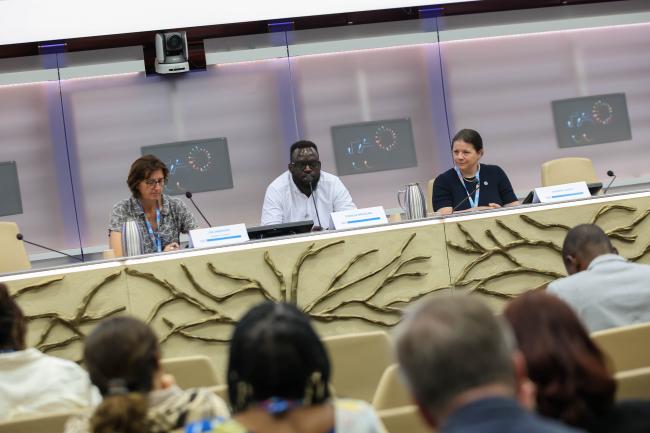 A view of the panel during Session 4 on mitigation and adaptation