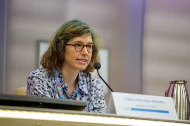 Joana Portugal-Pereira, Professor, Federal University of Rio de Janeiro and University of Lisbon 