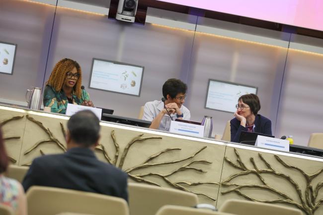 A view of the panel Session 7 