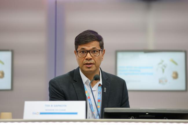 Tek B Sapkota, Principal Scientist/Climate Change Lead, International Maize and Wheat Improvement Center 