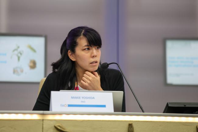 Makie Yoshida, Climate Change Specialist, FAO, reports back to plenary from the breakout session on integrating agrifood systems into national climate 