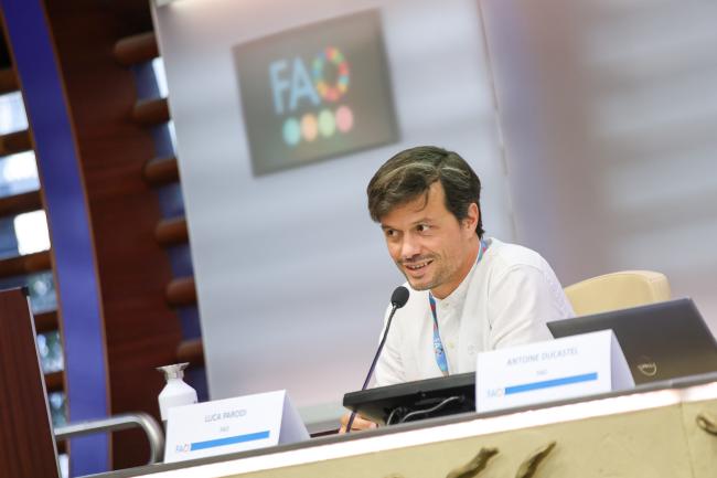 Luca Parodi, Emergency and Rehabilitation Officer, FAO, reports back to plenary from the breakout session on governance, institutions and policy coherence