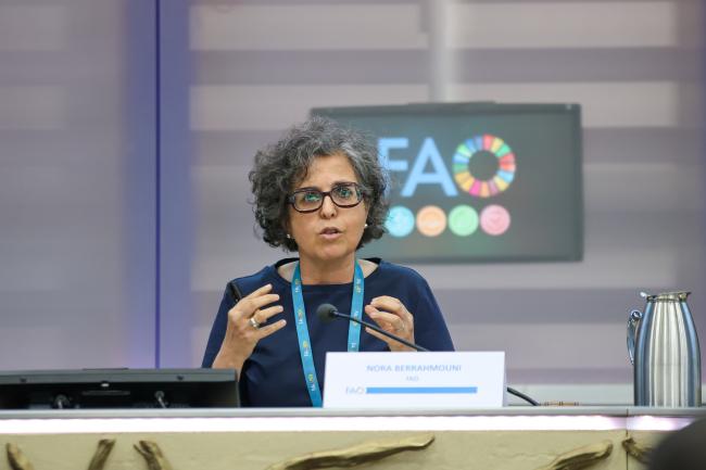 Nora Berrahmouni, Deputy Director, Land and Water Division, FAO, reports back to plenary from the breakout session on food systems approaches across the Rio Conventions 