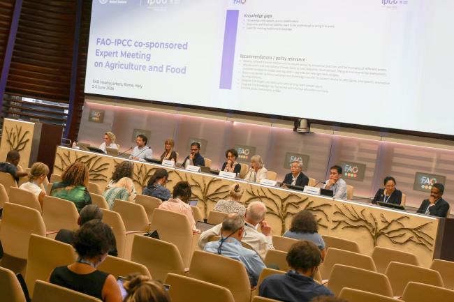 A view of the plenary during Session 8 