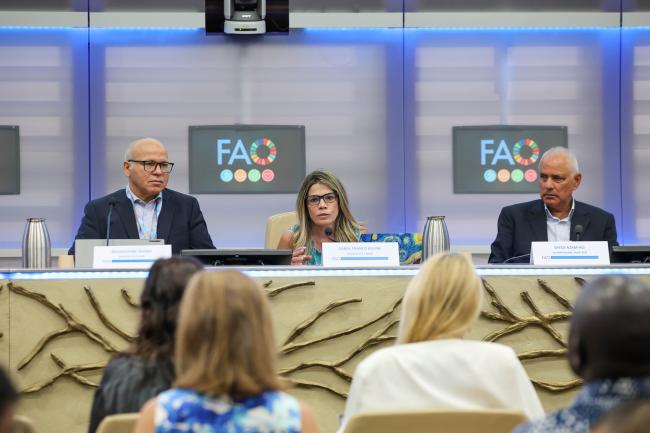 A view of the panel during Session 9