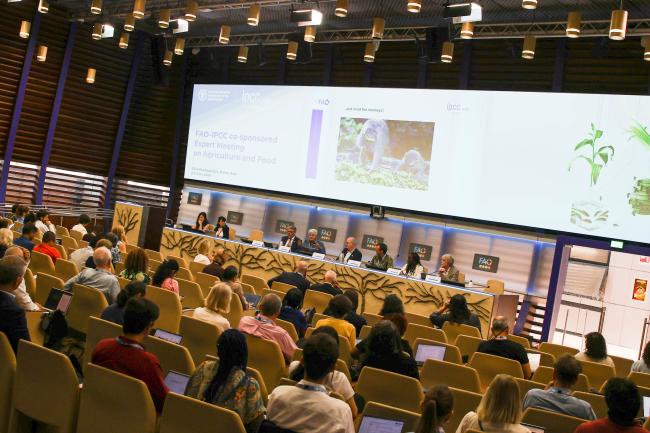 A view of the room during the closing session 