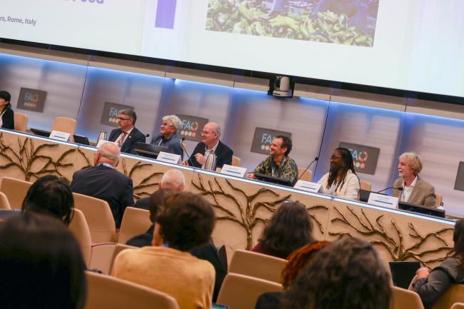 A view of the panel during the closing session