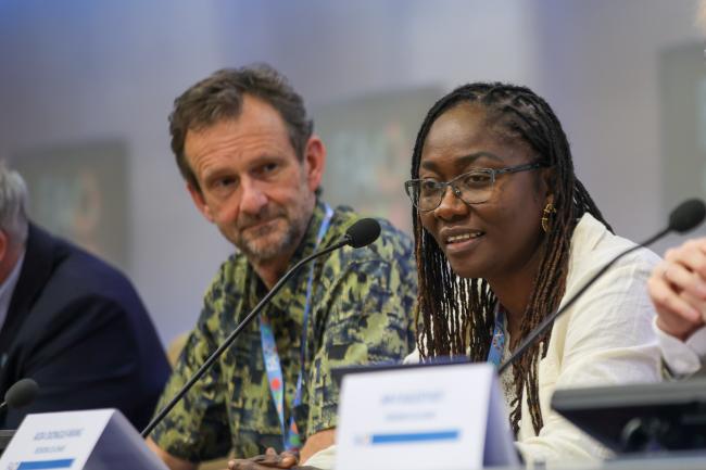 Aida Diongue-Niang, Vice-Chair, Working Group I, IPCC - FAO-IPCC 
