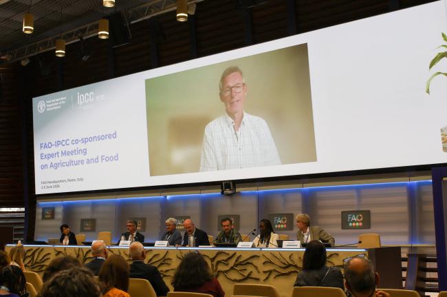 Bart van den Hurk, Co-Chair, IPCC Working Group II 