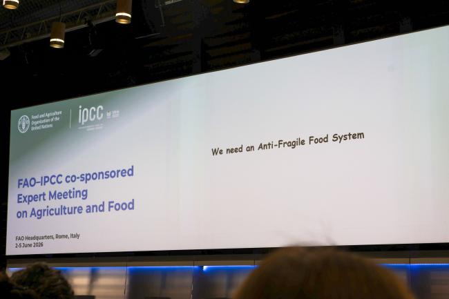 A slide of Sayed Azam-Ali's presentation