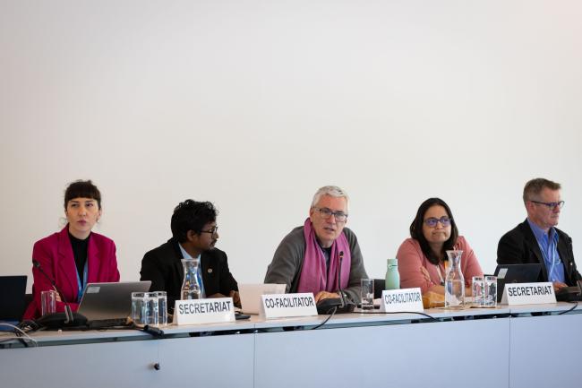 Stig Svenningsen, Norway, and Mareer Mohamed Husny, Maldives, Co-Facilitators for the informal consultations on the Climate Technology Centre (CTC)