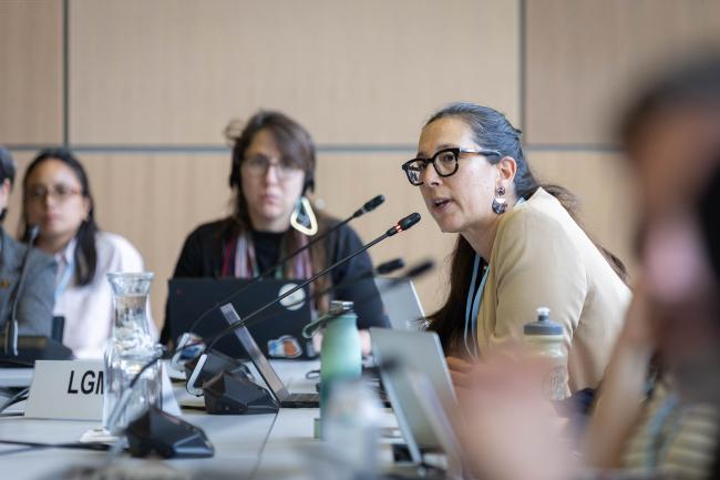 Ariel Dekovic, Local Governments and Municipal Authorities (LGMA)