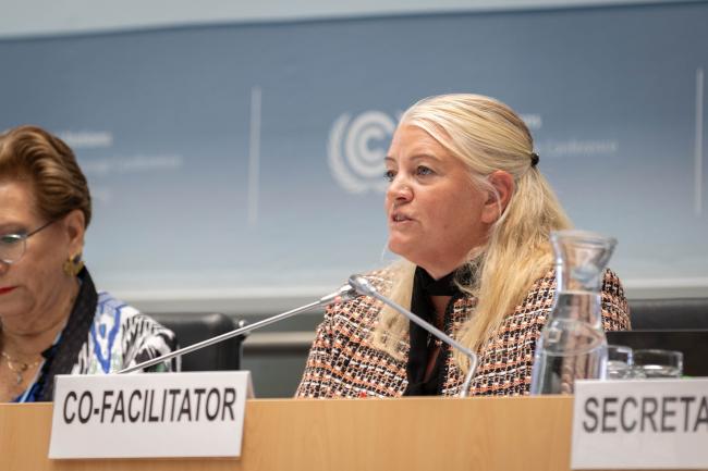 Dialogue Co-Facilitator Johanna Lissinger Peitz, Sweden