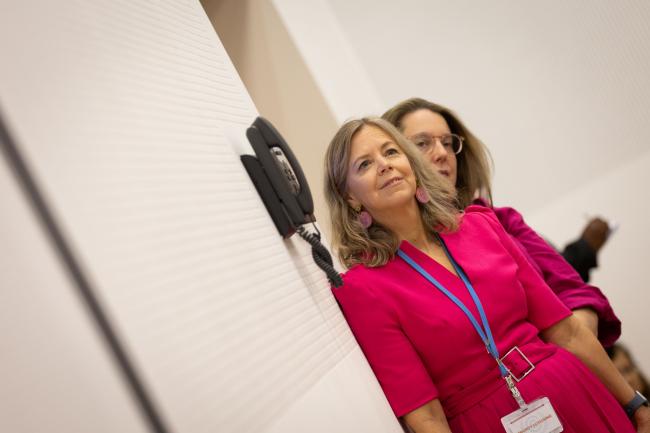 Julia Gardiner, SBI Chair