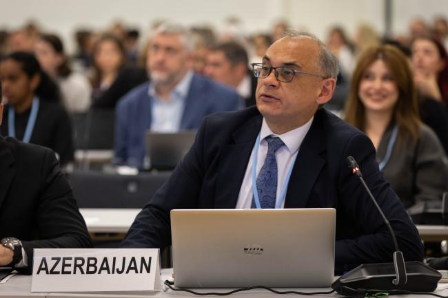 Fuad Humbatov, COP 29 Presidency
