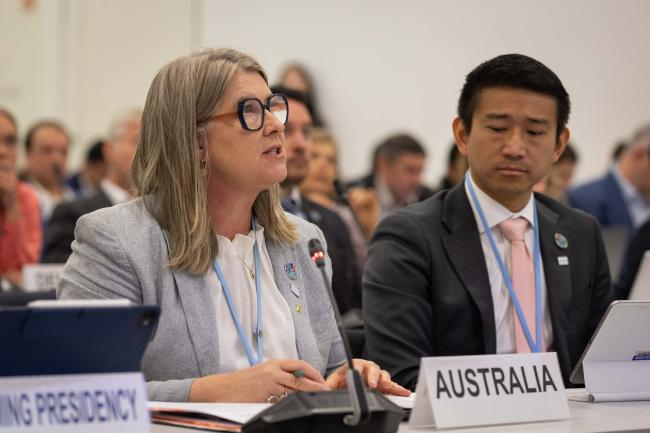 Sally Box, Incoming COP 31 Presidency of Negotiations