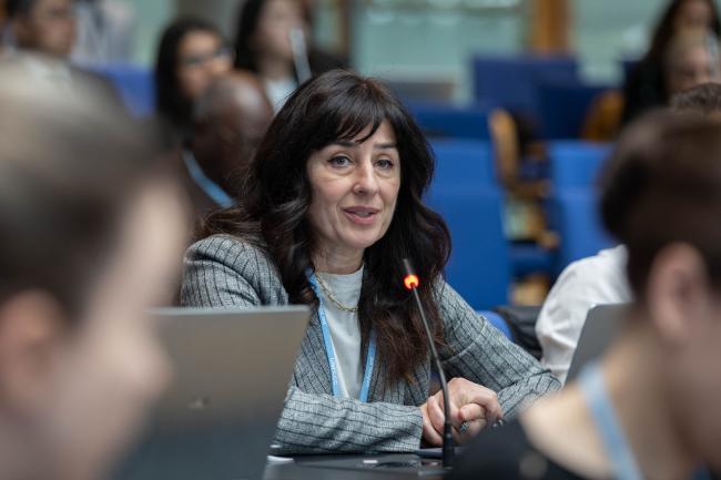 Federica Bietta, Honduras, on behalf of the Coalition for Rainforest Nations (CfRN)