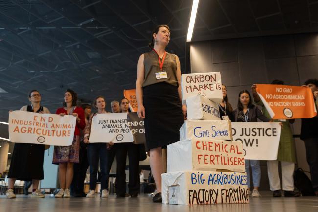 Recognising that food systems account for one third of GHG emissions, members of civil society demonstrate in the corridors, calling for sustainable agriculture and a shift away from industrialisation