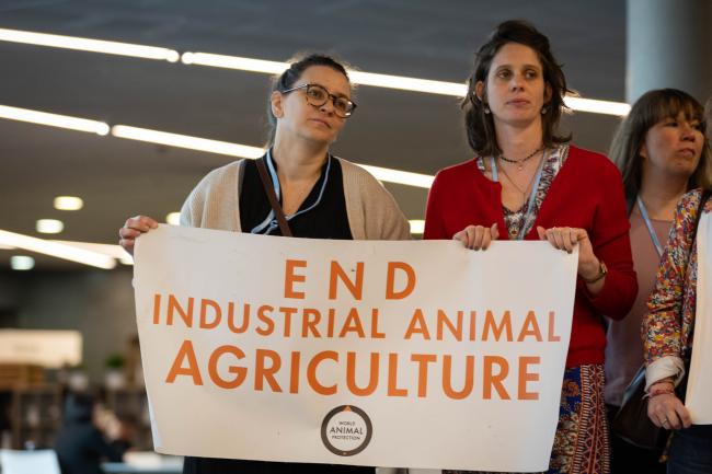 Agric action