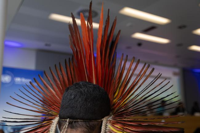 Indigenous representatives from Brazil attend the Local Communities and Indigenous Peoples Platform (LCIPP) annual dialogue