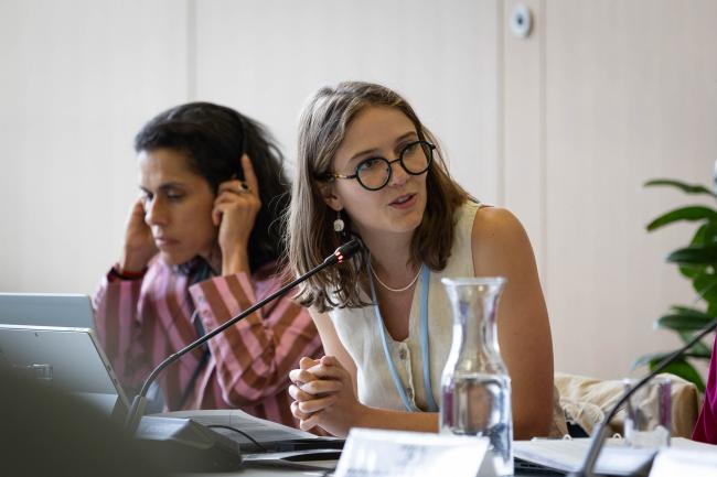 Sophie Talarico, Business and Industry NGOs (BINGOs)