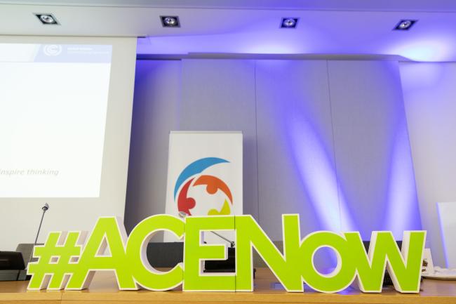 Over two days the ACE community focuses on developing their new action plan to promote education, public awareness, training, public participation, access to information, and international cooperation.
