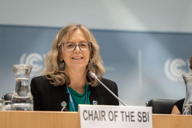 Julia Gardiner, SBI Chair